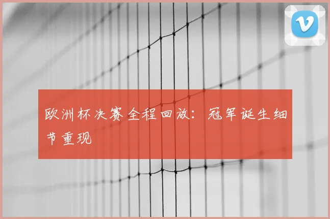 欧洲杯决赛全程回放：冠军诞生细节重现