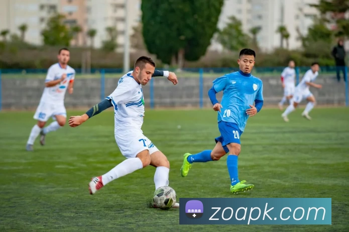 趣体育app官方网站品牌故事