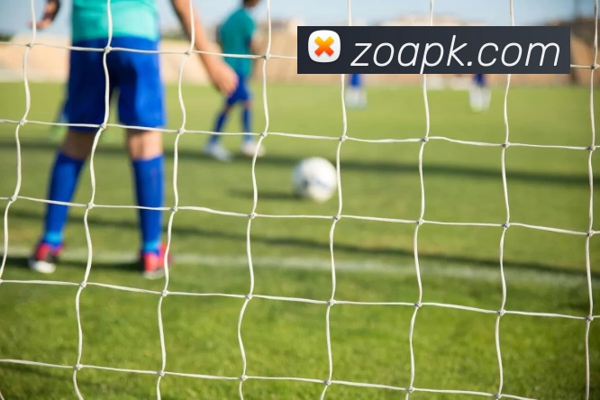 趣体育(中国)官方网站 - ios/安卓/手机app下载APP 封面图