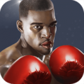Punch Boxing 3D 1.1.4