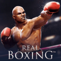 Real Boxing 2.9.0